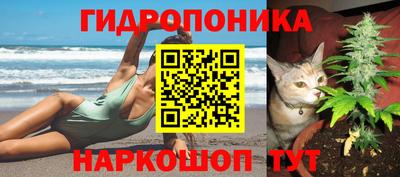 эйфоретик Малгобек