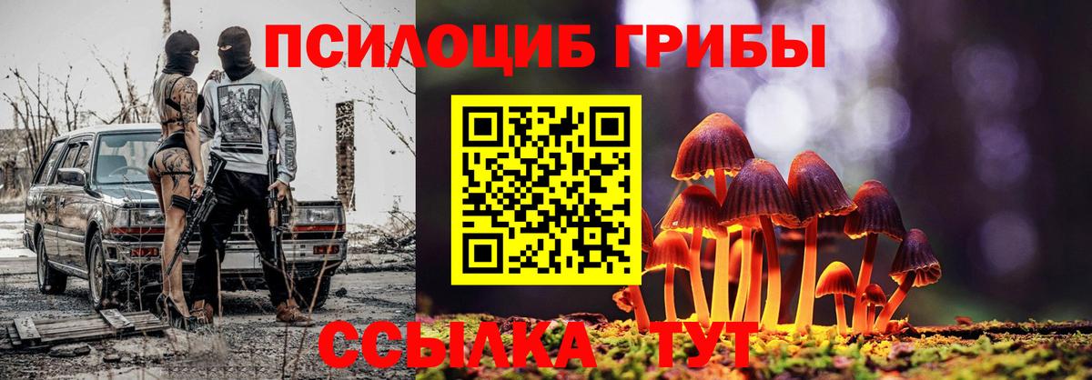 Псилоцибиновые грибы GOLDEN TEACHER  Вход с VPN  Сарапул 